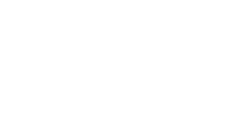 LOGO CAVAVIN